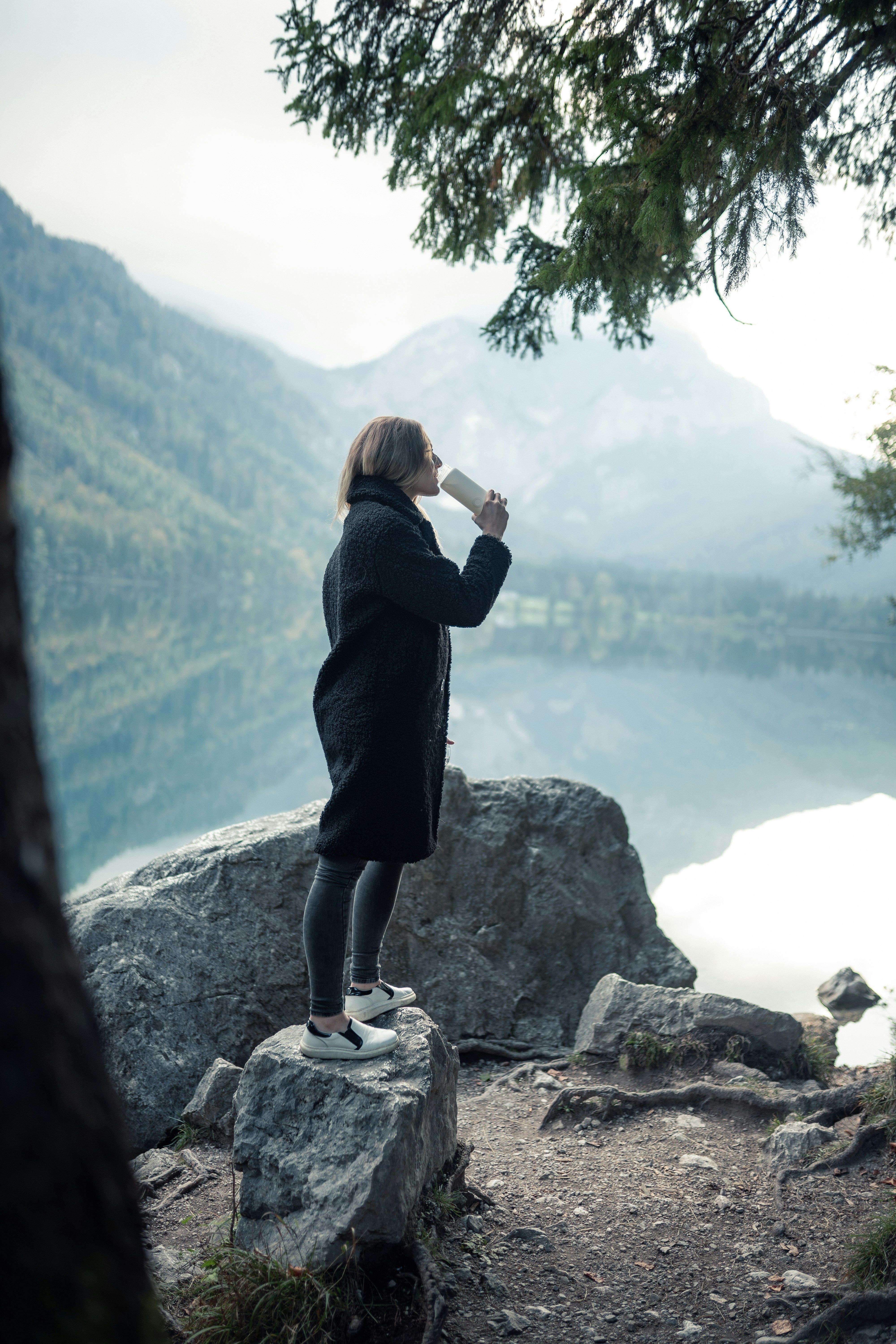 Lugn nordisk skog i mjukt morgonljus